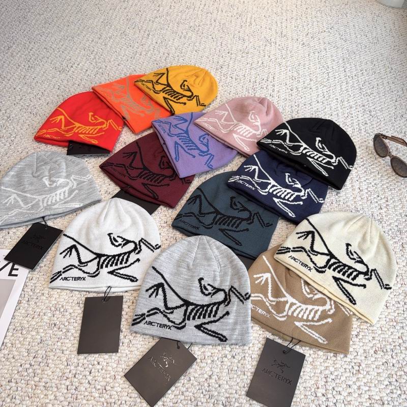 Arcteryx Hat dx09